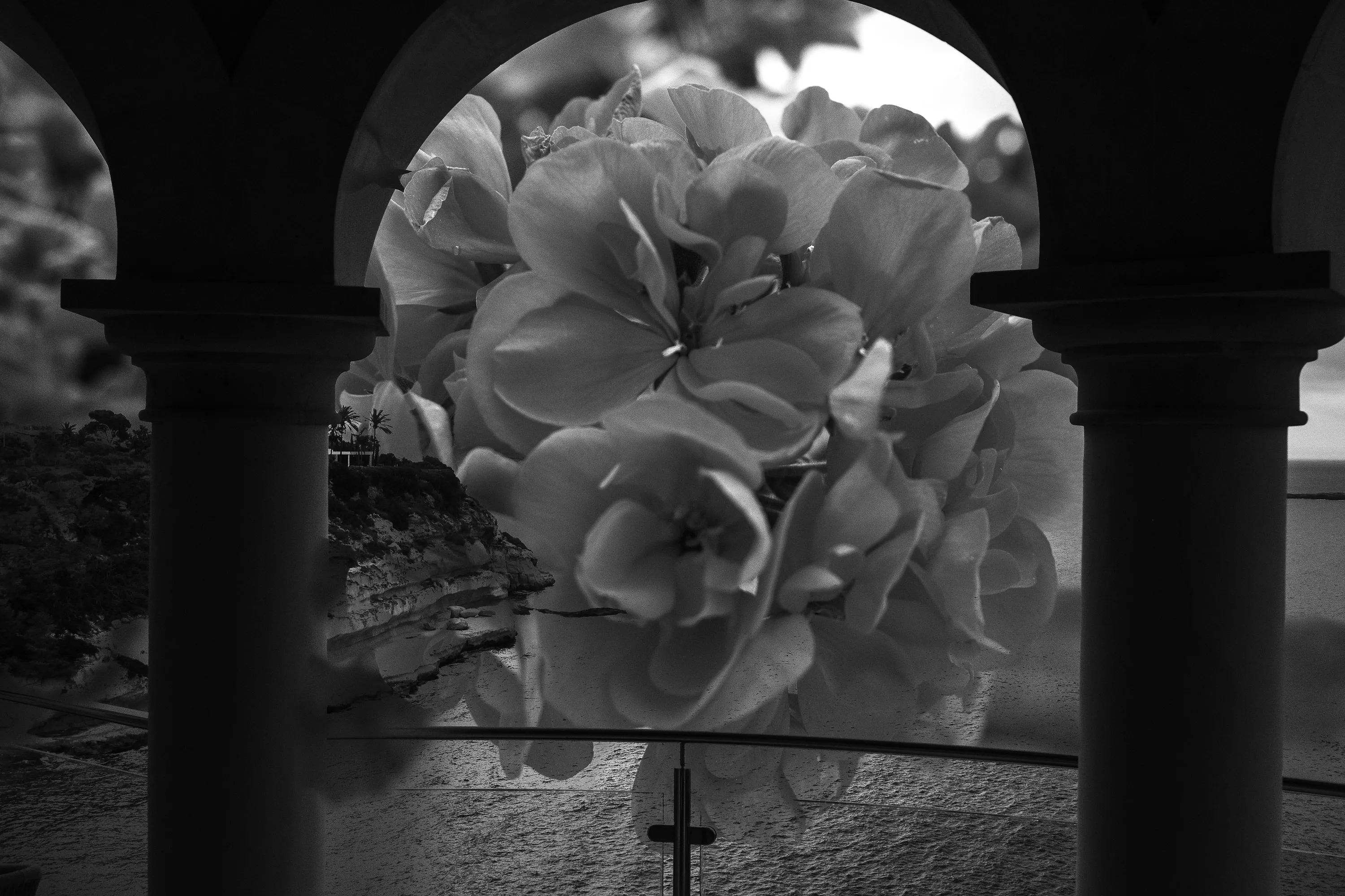Doble Exp, frame 03